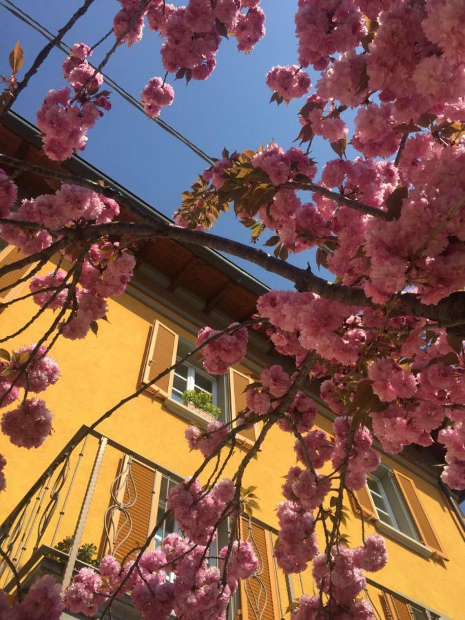 Liberty Room And Breakfast Borgo Val di Taro Εξωτερικό φωτογραφία
